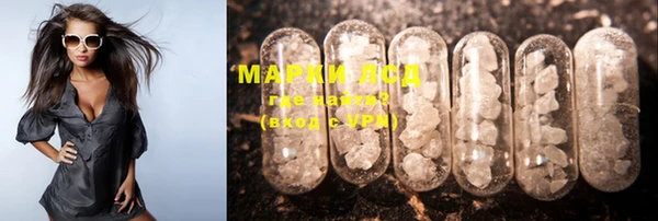 шишки Мегион